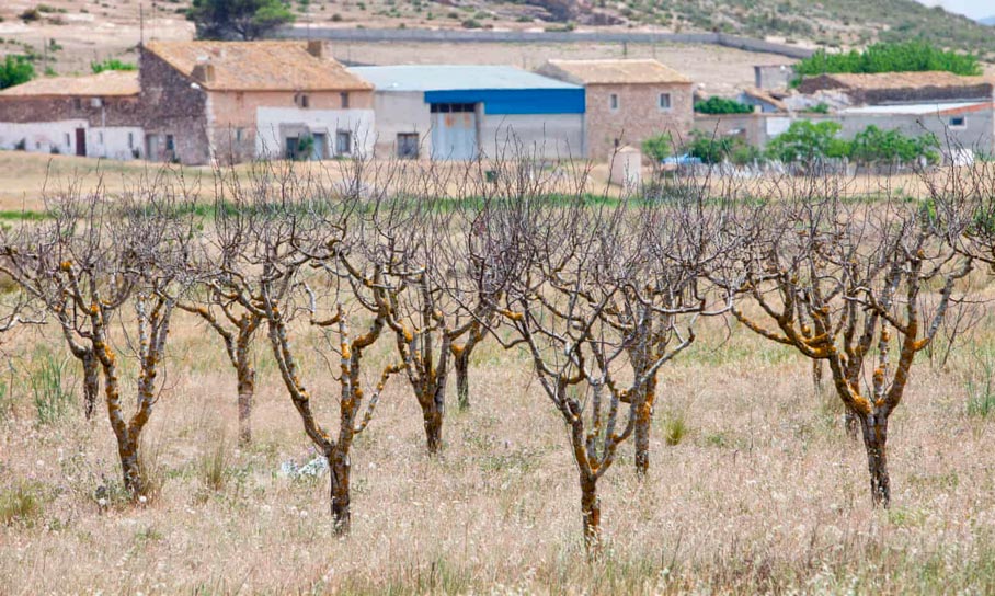 Basin authority in south-eastern Spain Basin authority in south-eastern Spain