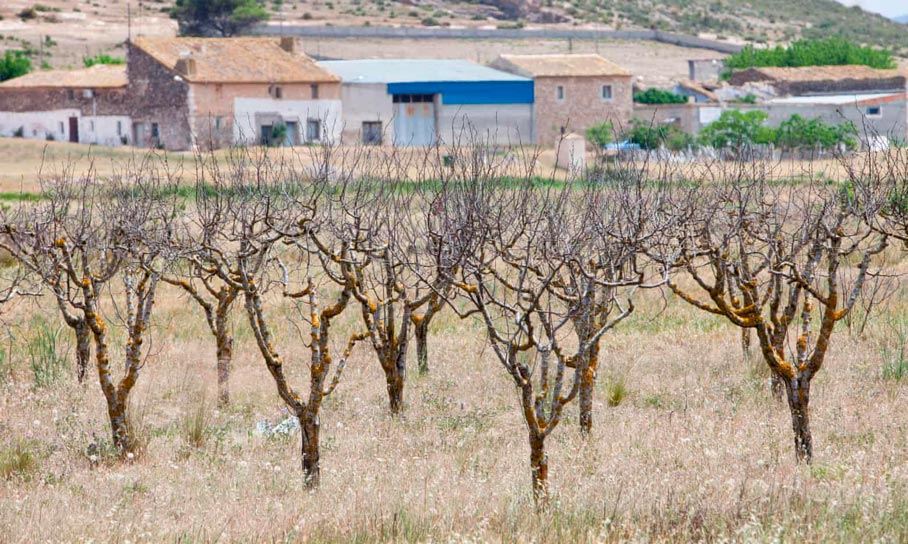 Basin authority in south-eastern Spain