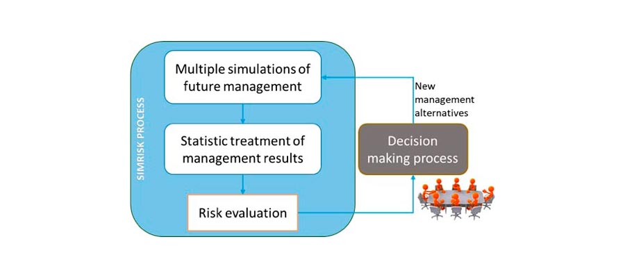 Simrisk process